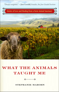 animals book cover